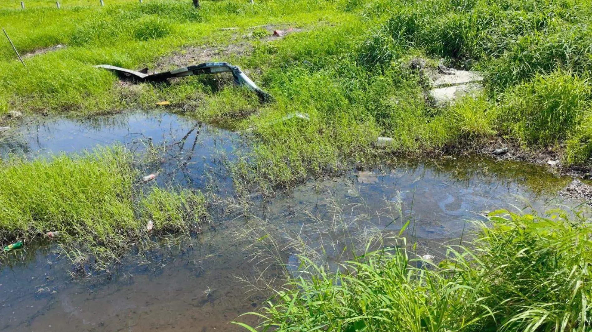 Altamira enfrenta derrame de crudo: impactos ambientales y respuesta de autoridades